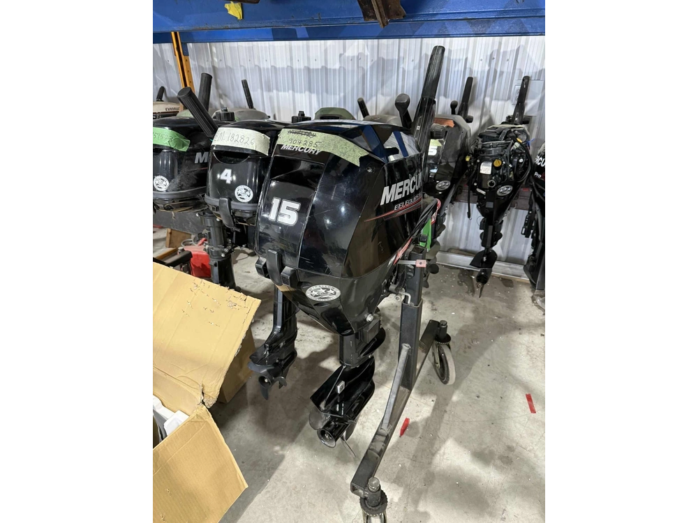 Mercury 15 Hp Efi 2019 alt