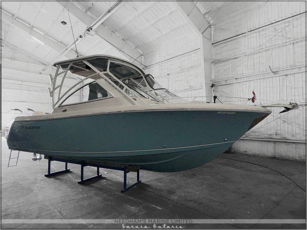 2021 Sailfish 245 Dc alt