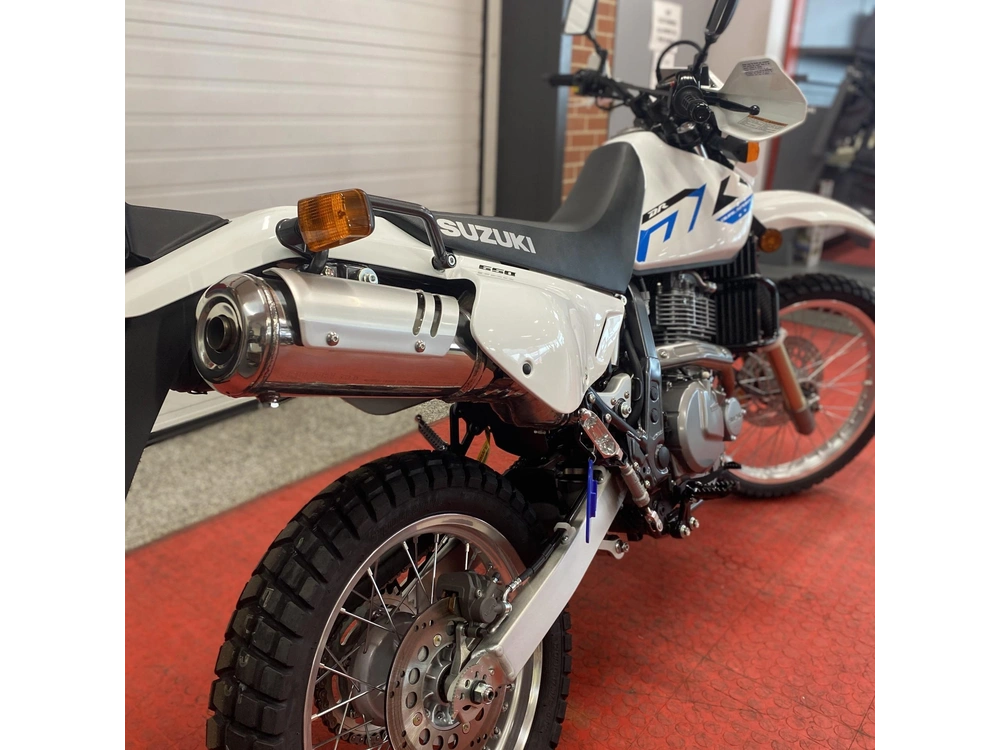 2025 Suzuki Dr 650s alt