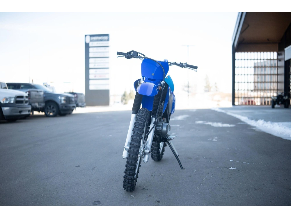 2025 Yamaha Tt-r 230 alt