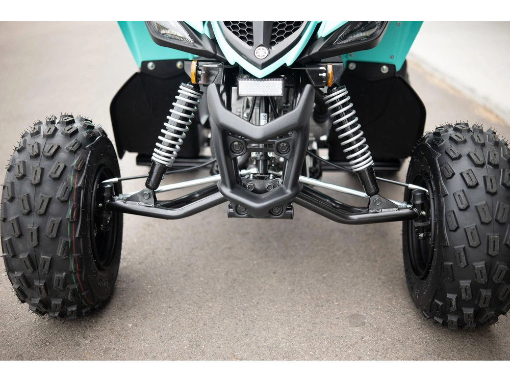 2025 Yamaha Raptor 110 alt