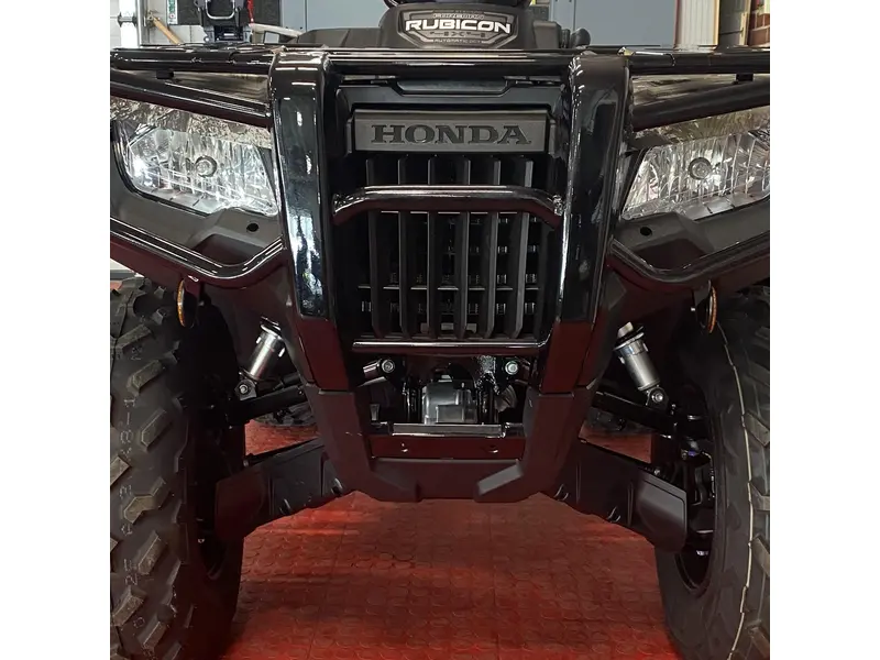 2025 Honda Rubicon 4x4 Automatic DCT EPS