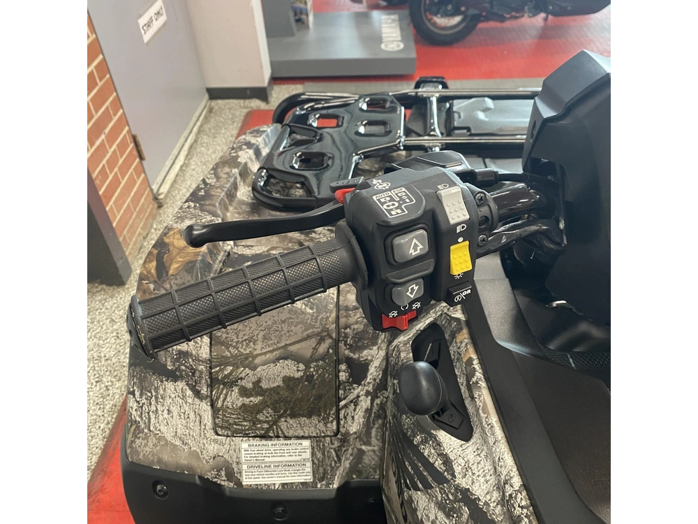 2025 Honda Rubicon 4x4 Automatic Dct Eps alt