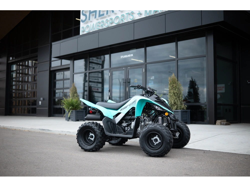 2025 Yamaha Raptor 110 alt