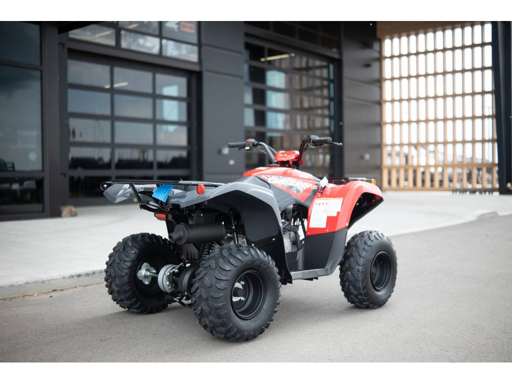 2025 Yamaha Grizzly 110 alt