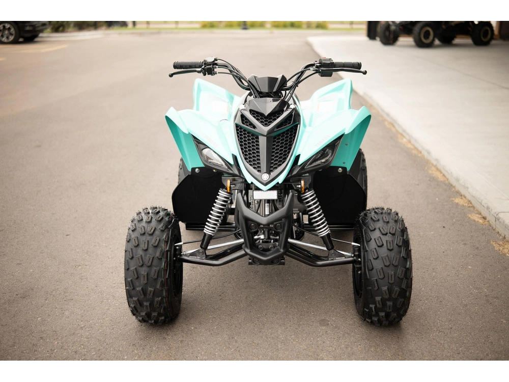 2025 Yamaha Raptor 110 alt