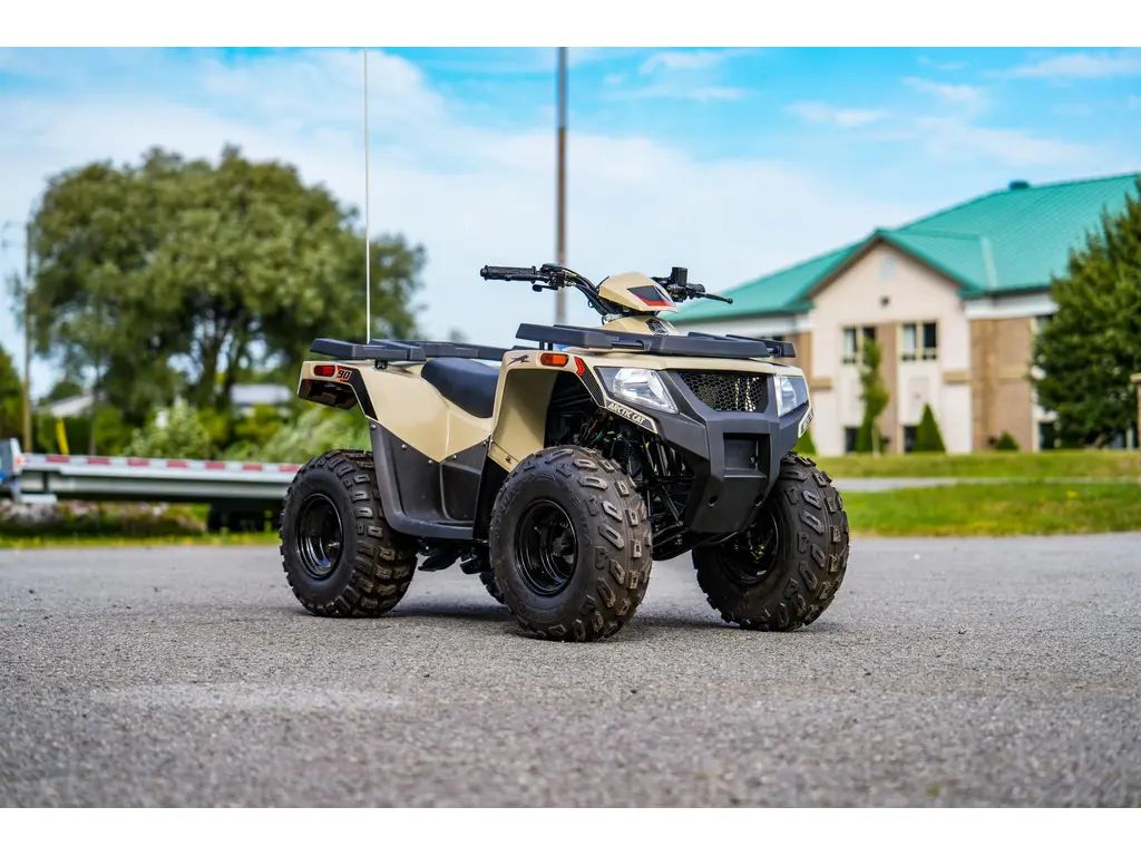 Arctic Cat Alterra 90 2022