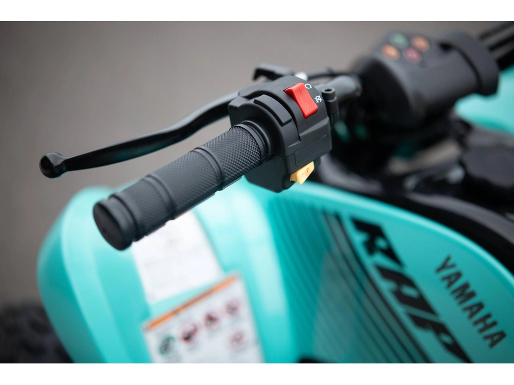 2025 Yamaha Raptor 110 alt