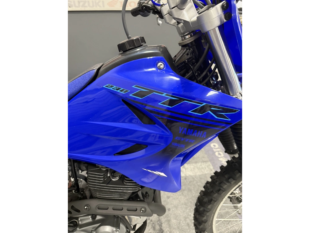 Yamaha Tt-r 230 2024 alt
