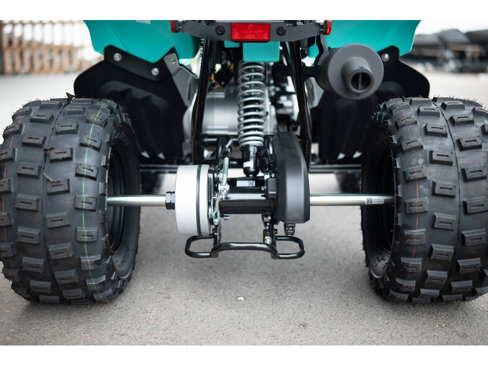 2025 Yamaha Raptor 110 alt