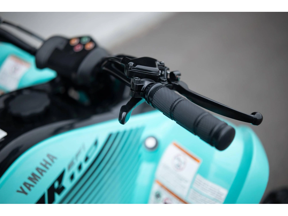 2025 Yamaha Raptor 110 alt