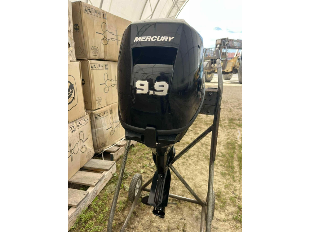 Mercury 9.9 M 2019 alt