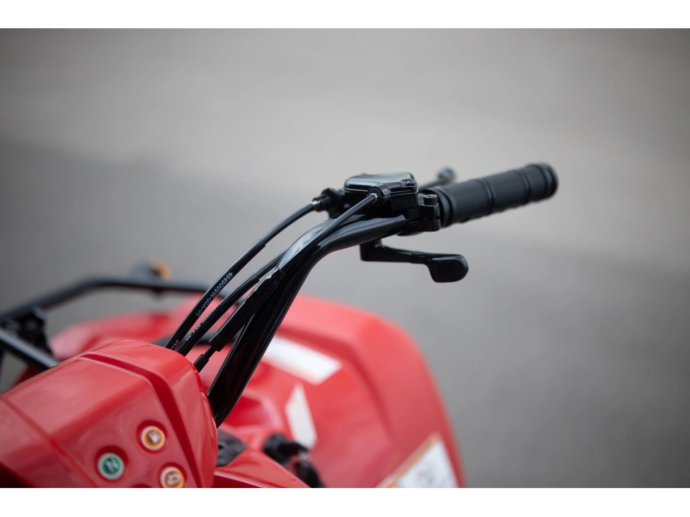 2025 Yamaha Grizzly 110 alt