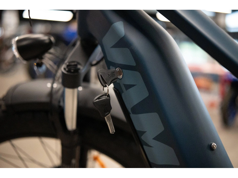 2024 Vamoose Cycle Mammoth X 500 So alt