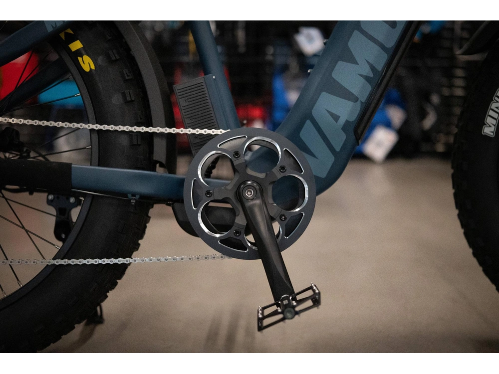 2024 Vamoose Cycle Mammoth X 500 So alt