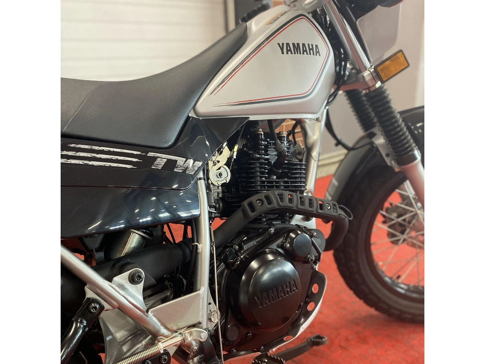 2025 Yamaha Tw200 alt