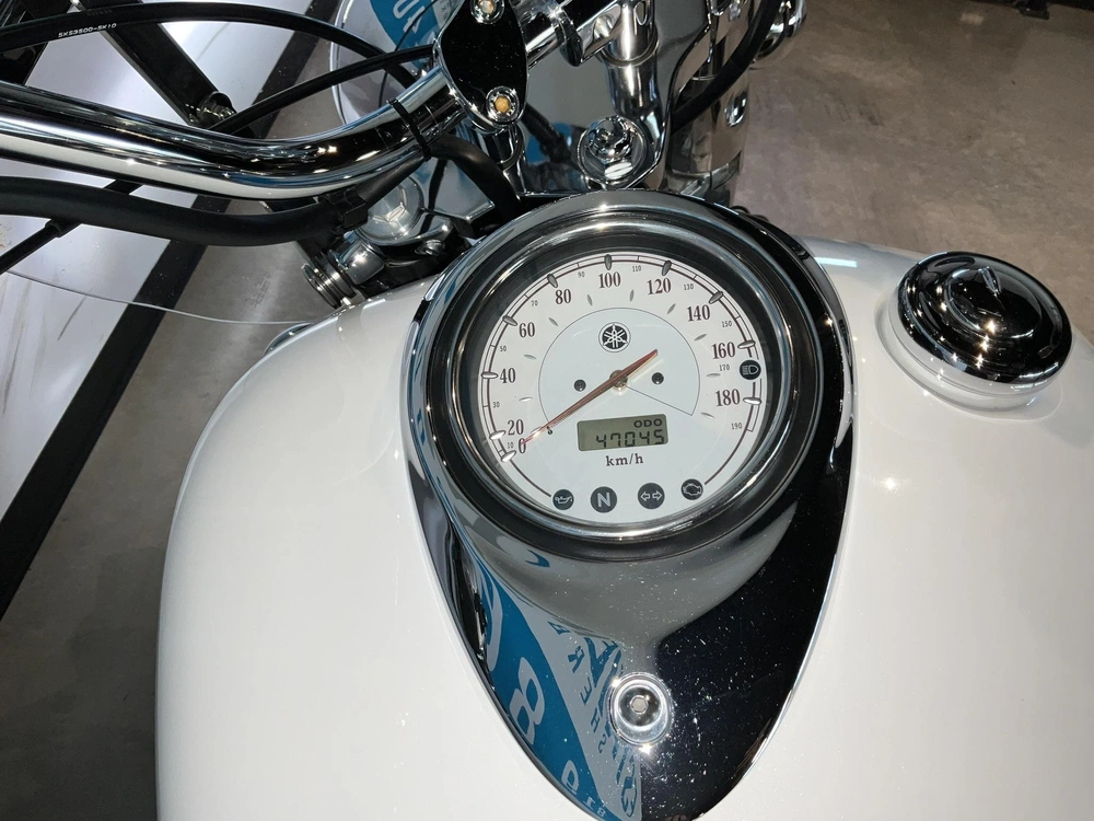 Yamaha Xvs1100 2006 alt