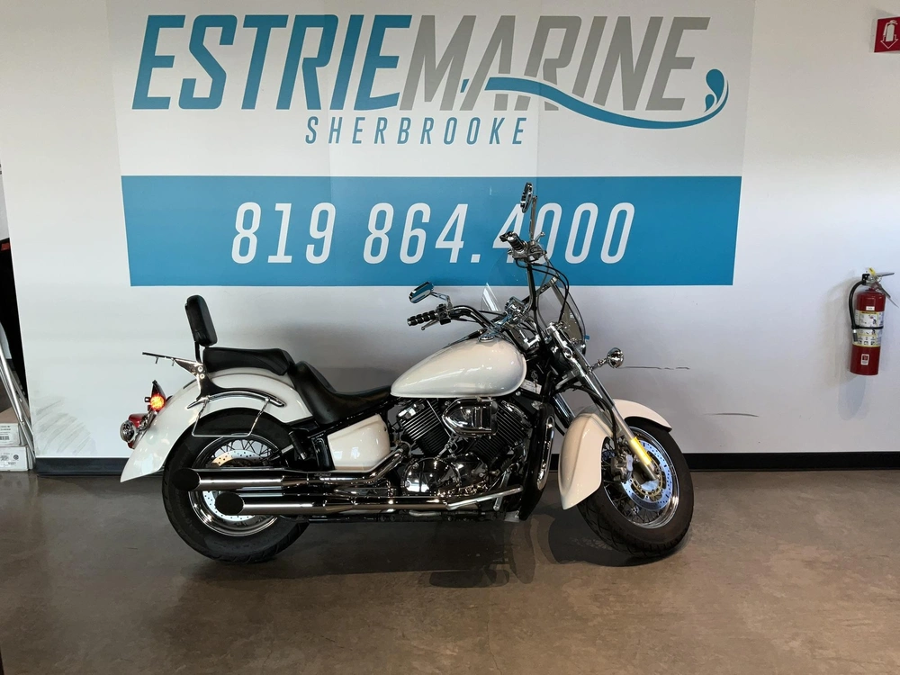2006 Yamaha Xvs1100 alt