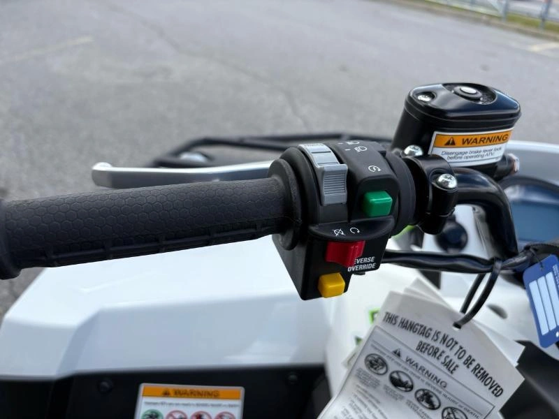 2024 Arctic Cat Alterra 600 Xt Eps alt