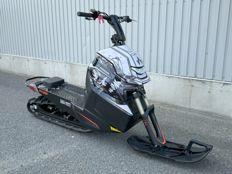 2024 Widescape Ws250 alt