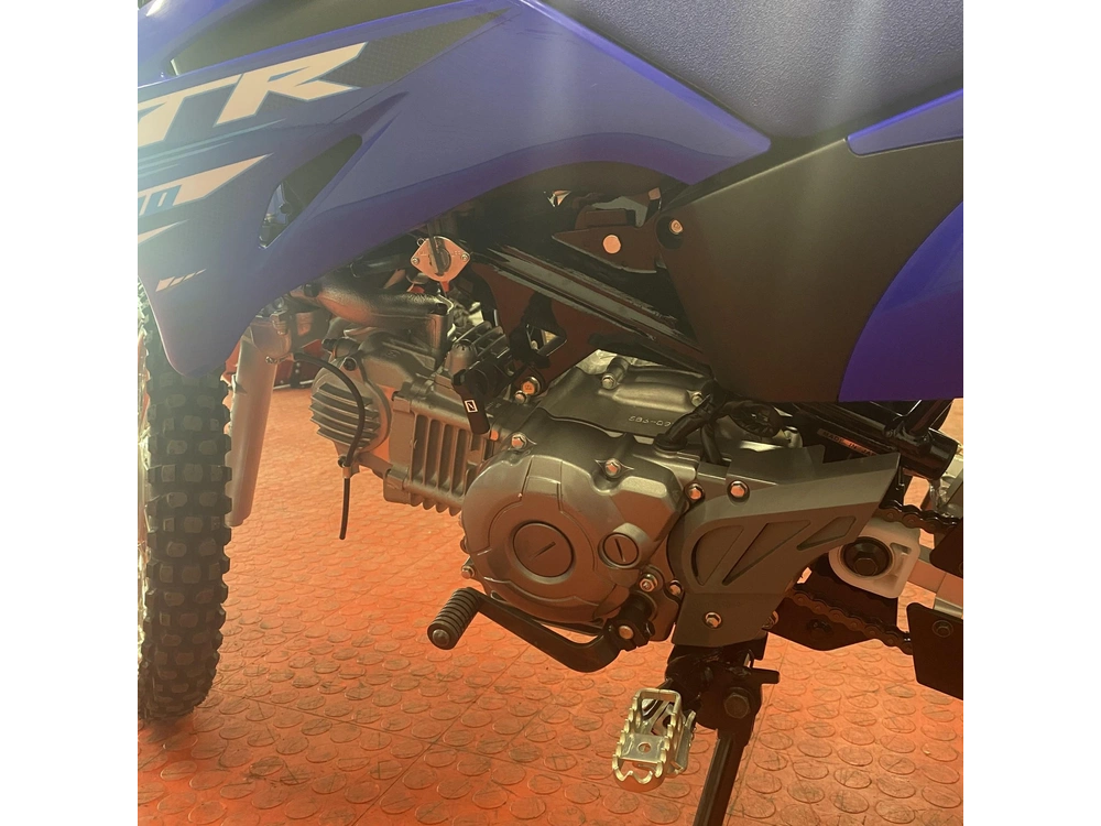2025 Yamaha Tt-r 110 alt