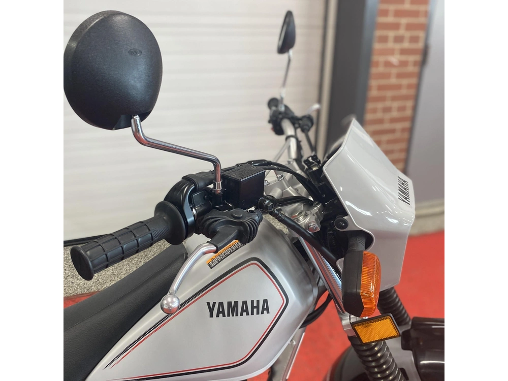 2025 Yamaha Tw200 alt