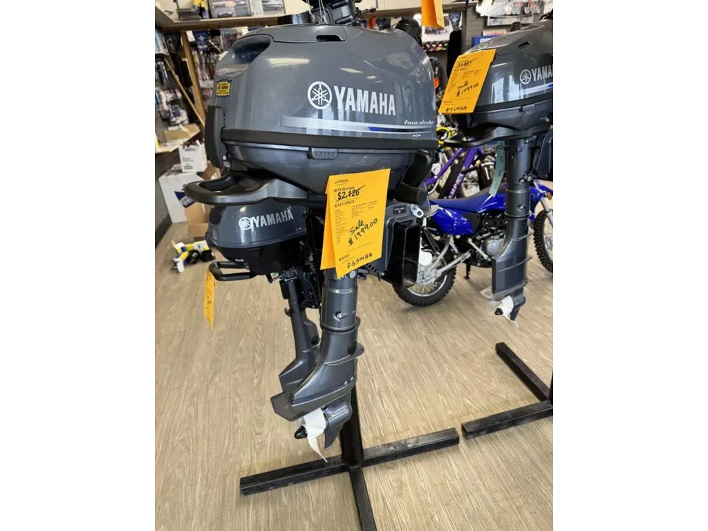 2024 Yamaha F6SMHA 