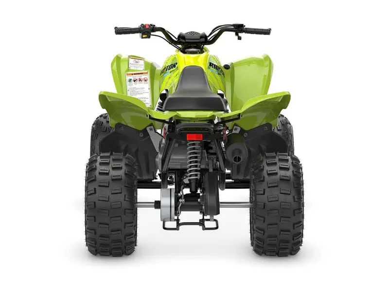 2026 Yamaha Raptor 110 PRE-COMMANDE