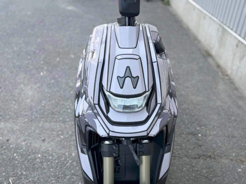 2024 Widescape Ws250 alt