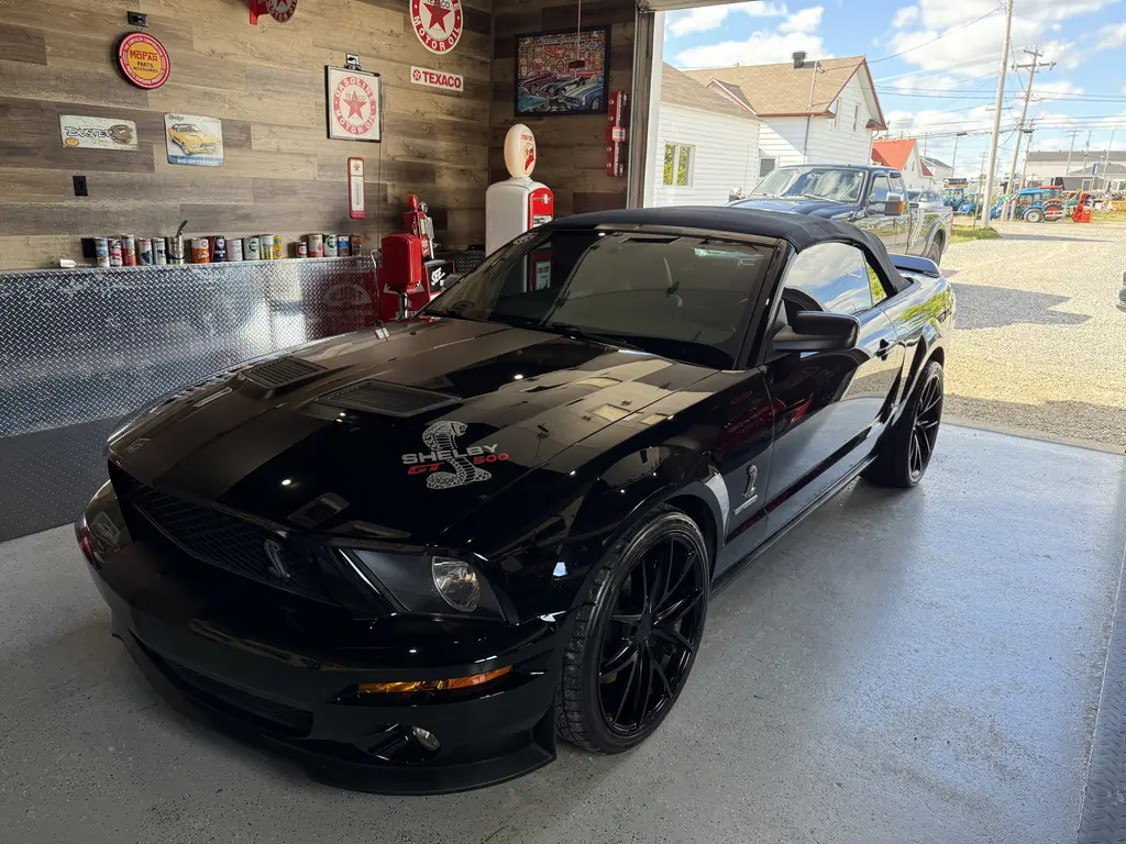 2008 Ford mustang shelby gt 500