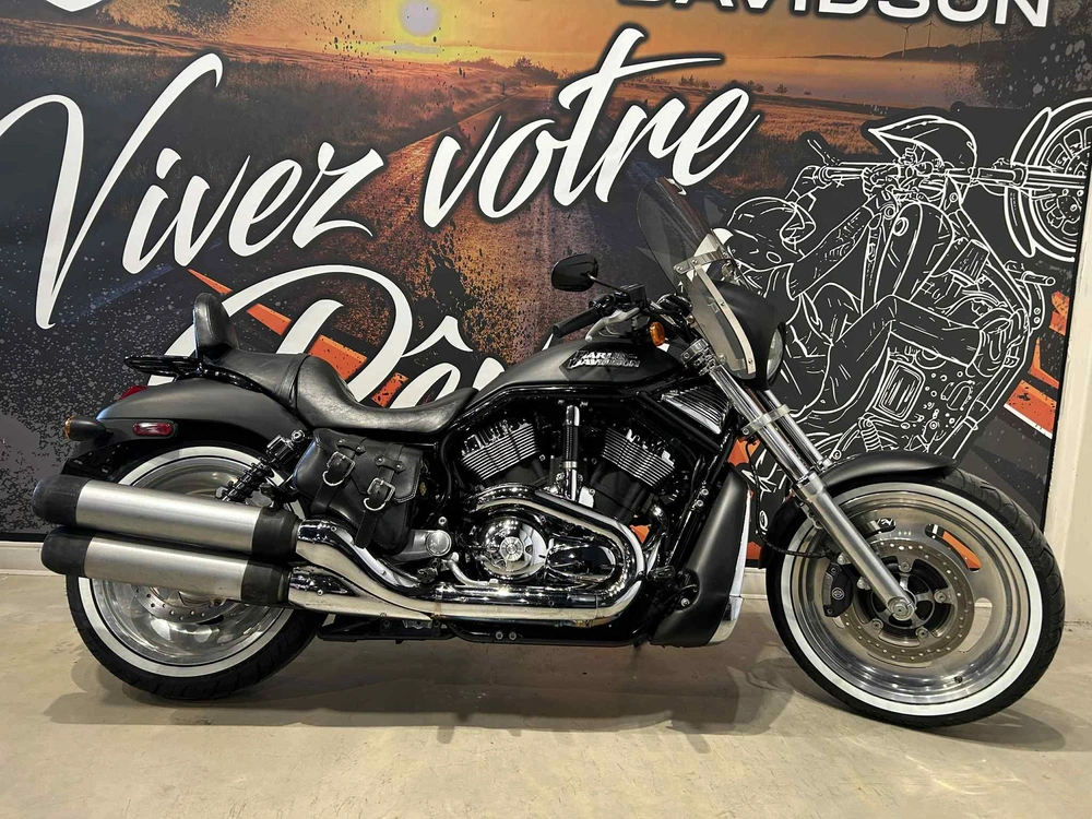 Harley-davidson Vrscd Night Rod 2006 alt