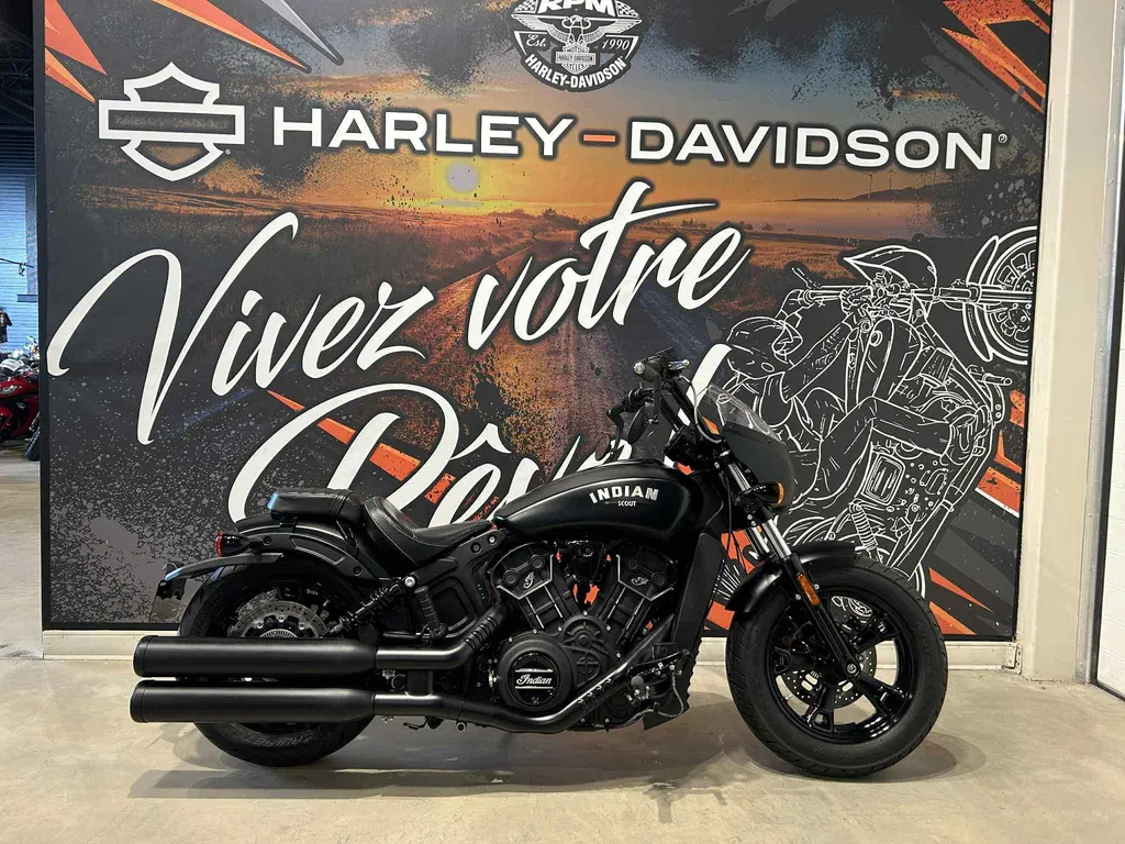 Indian Scout Rogue 2024