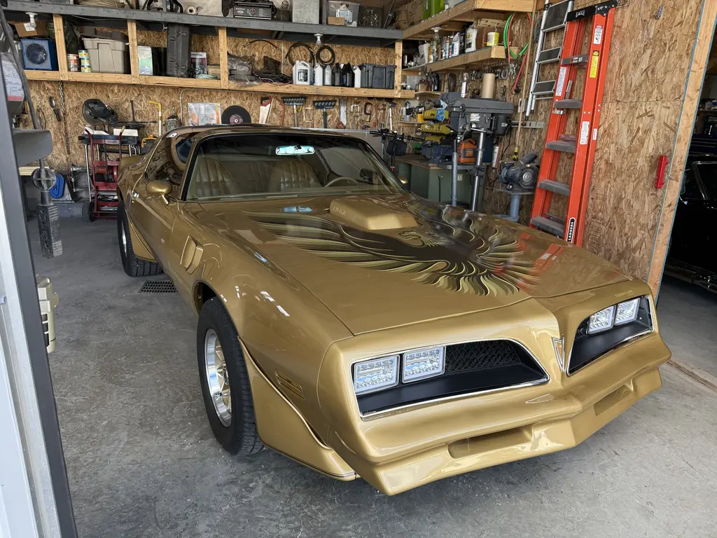 1978 pontiac trans am y88