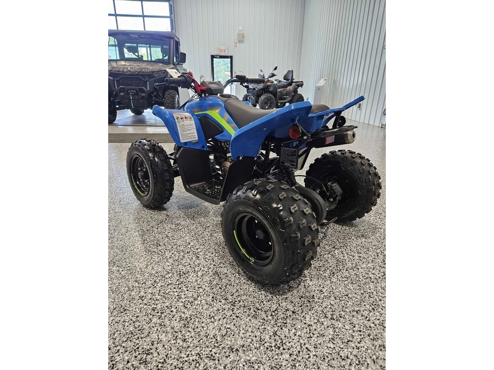 Cfmoto Cforce 110 Classic 2025 alt