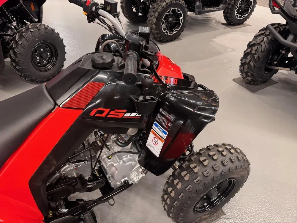 Can-am Can-am Ds 250 Ds250 2026 alt