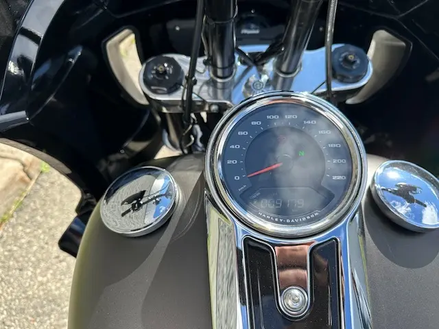 2020 Harley-Davidson SPORT GLIDE FLSBFLSB