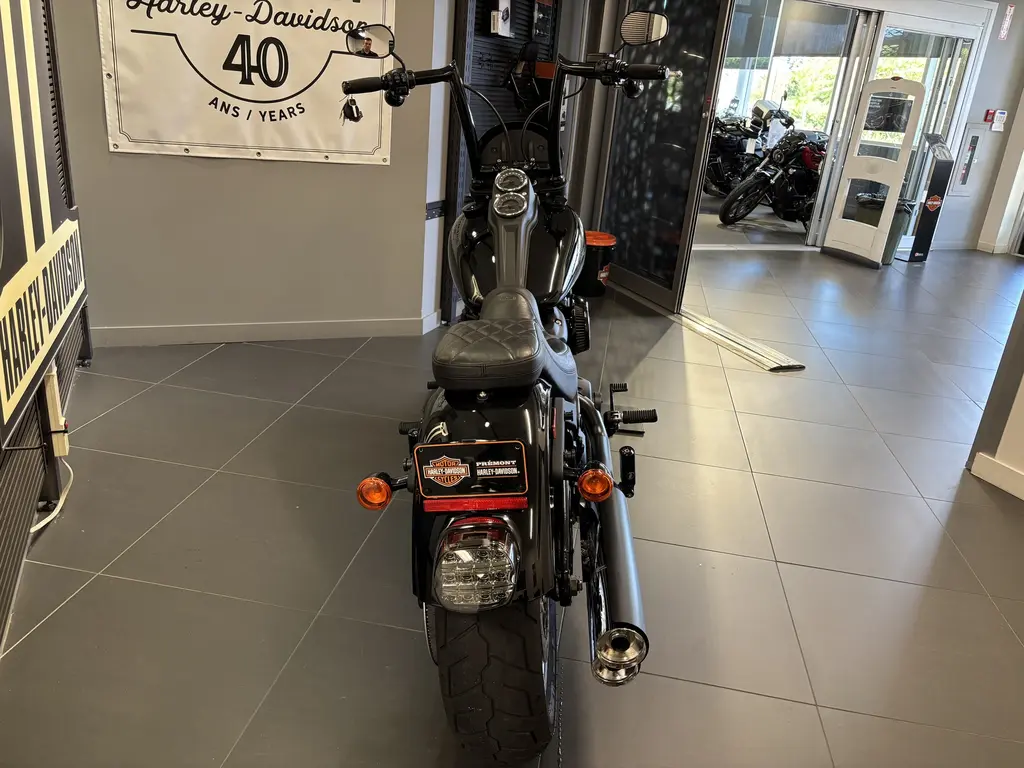 2021 Harley-Davidson FXLRS LOW RIDER SFXLRS