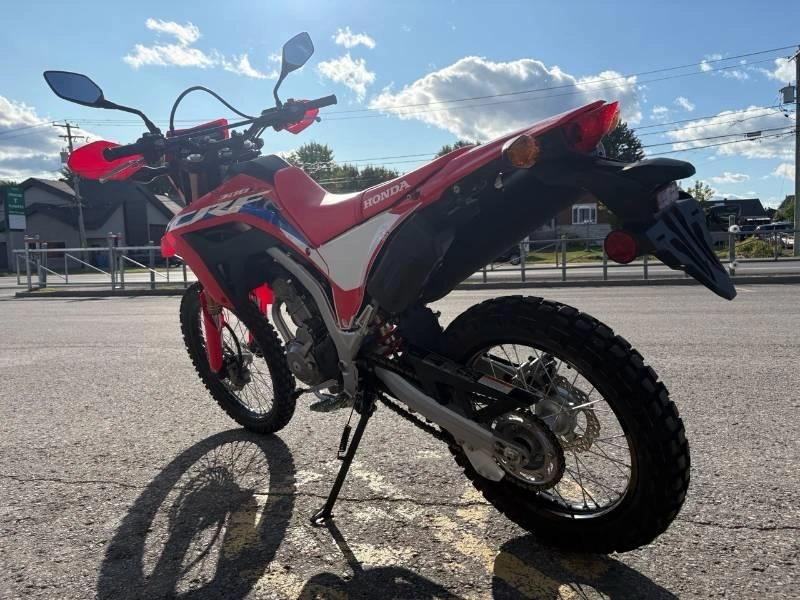 Honda Crf300l 2023 alt