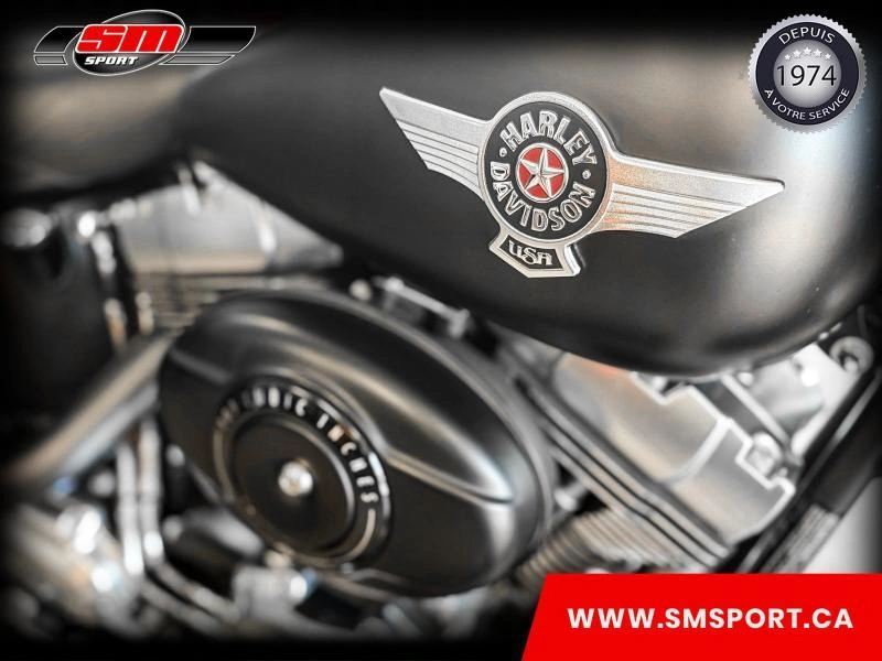 2013 Harley-davidson Fat Boy 103 alt