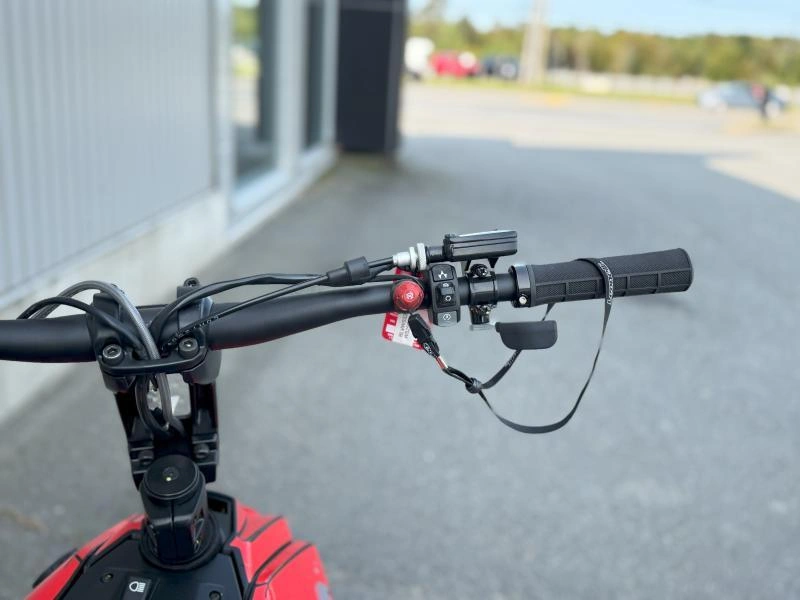 2024 Widescape Ws250 alt
