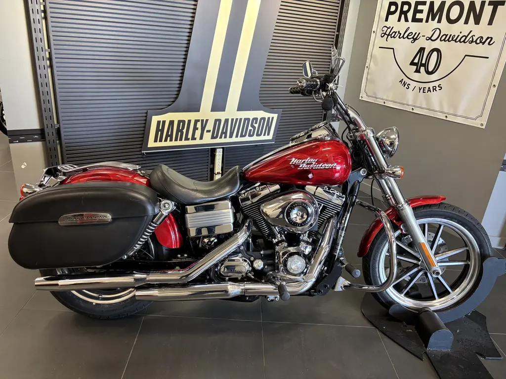 2009 Harley-Davidson DYNA LOW RIDER FXDL