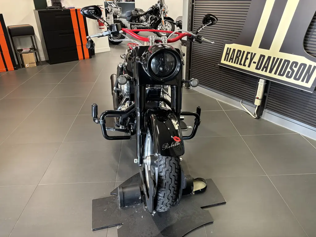 2015 Harley-Davidson Dyna SwitchbackFLD