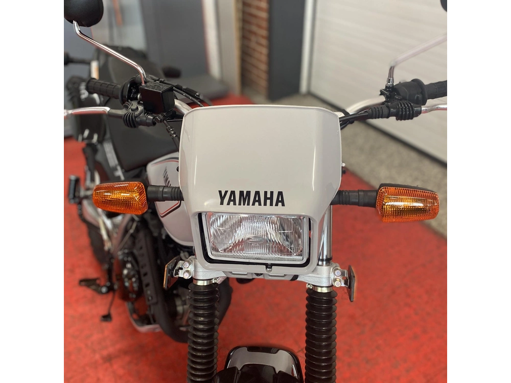 2025 Yamaha Tw200sg alt