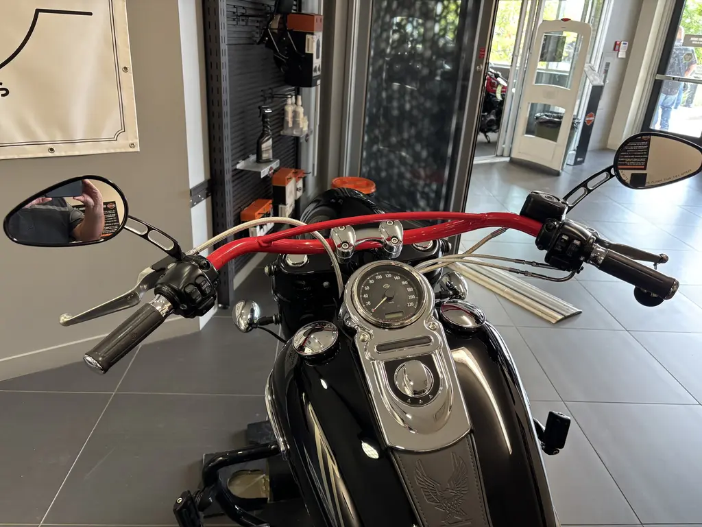 2015 Harley-Davidson Dyna SwitchbackFLD