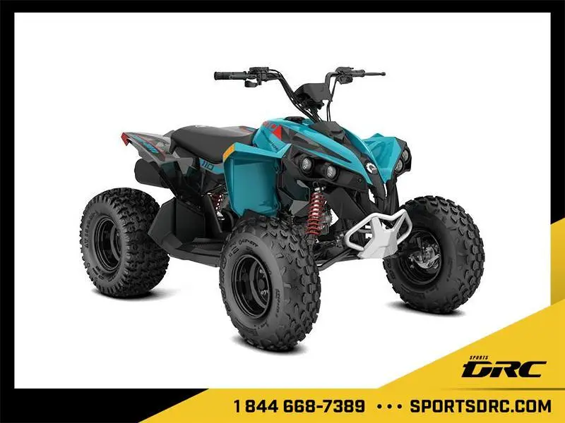 2026 Can-Am Renegade 110 EFI