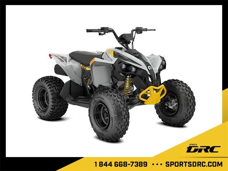 2026 Can-Am Renegade 110 EFI