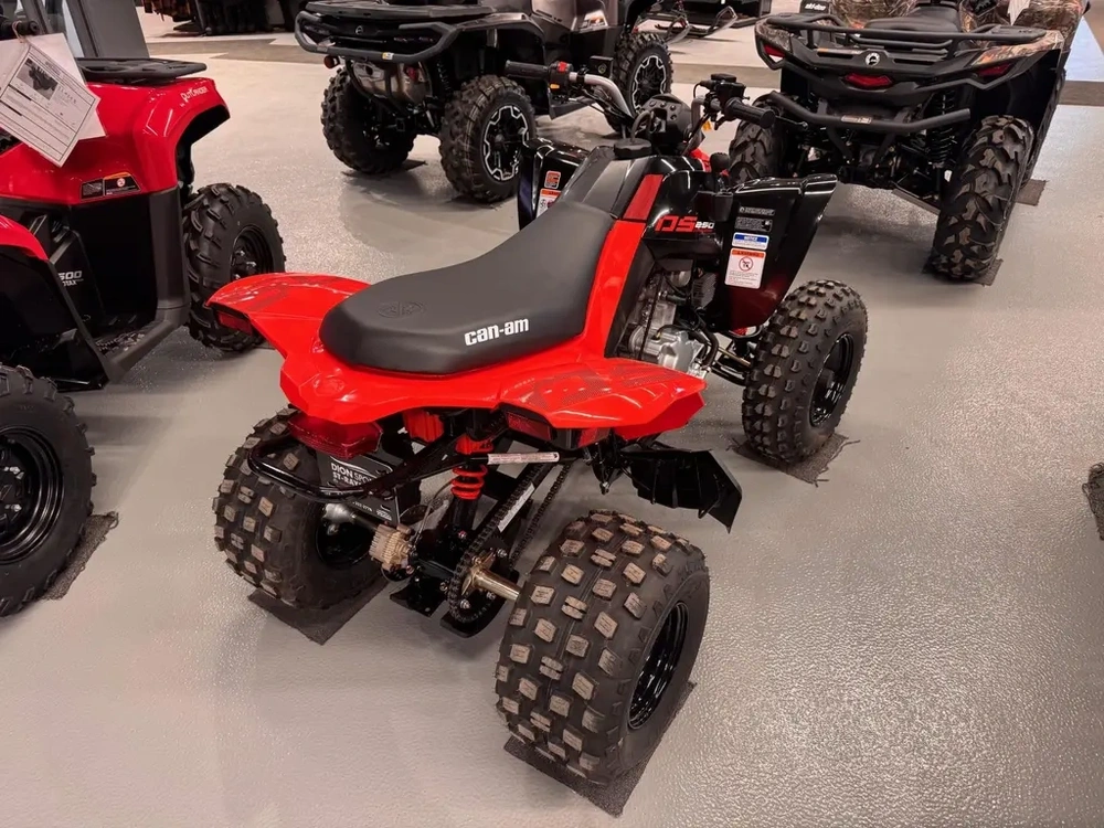 Can-am Can-am Ds 250 Ds250 2026 alt