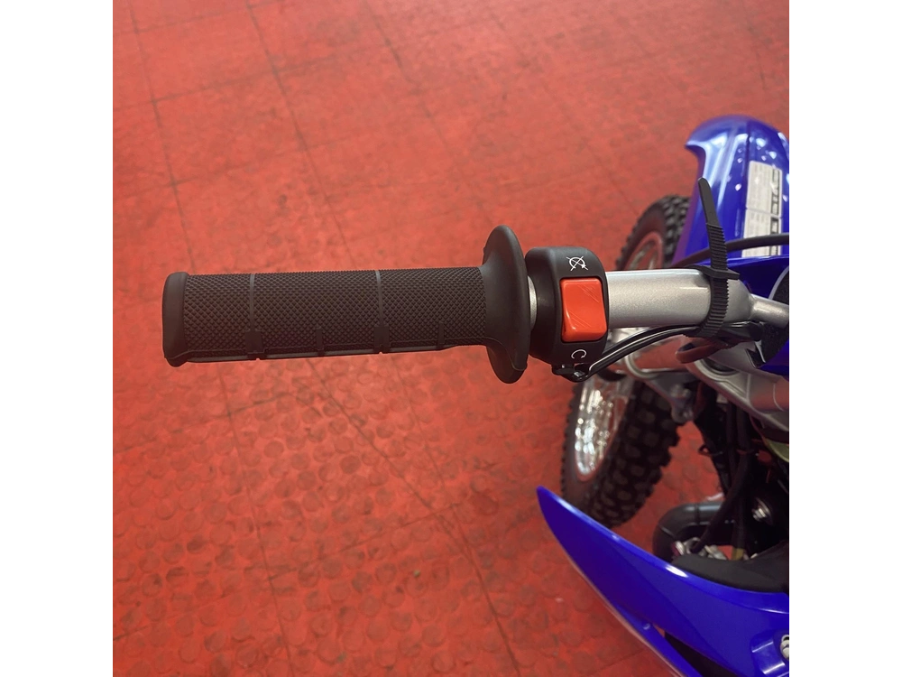 2025 Yamaha Tt-r 110 alt