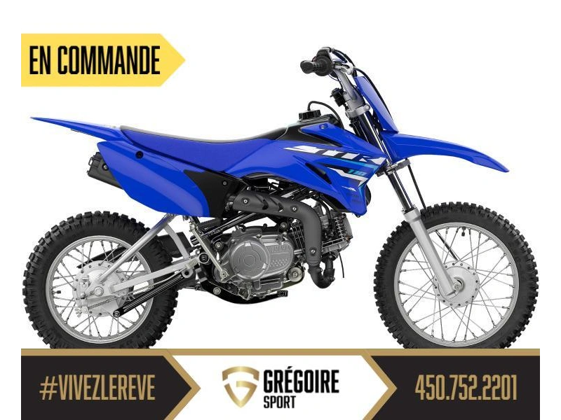 Yamaha Tt-r110 2026 alt