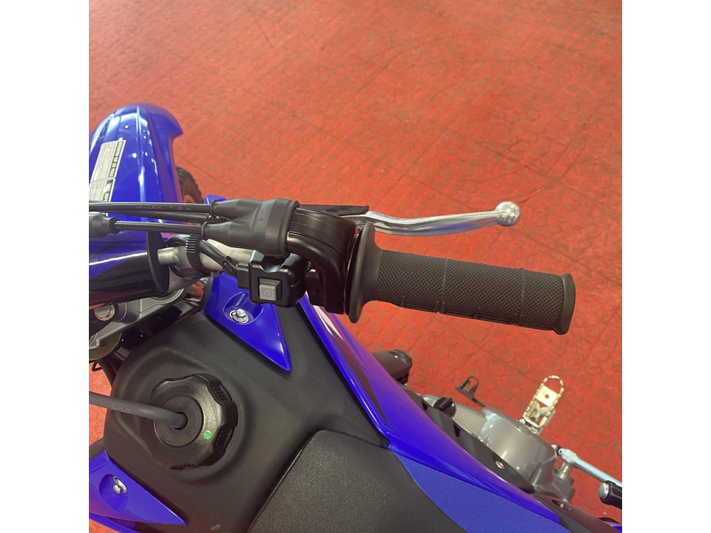 2025 Yamaha Tt-r 110 alt